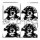 SCIAPO
