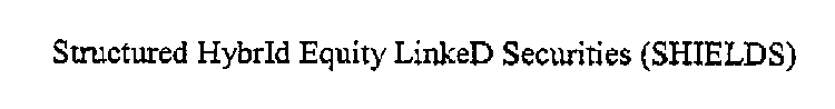 STRUCTURED HYBRID EQUITY LINKED SECURITIES (SHIELDS)