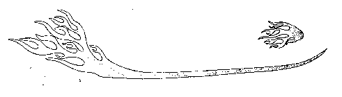 Image Trademark