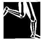 Image Trademark