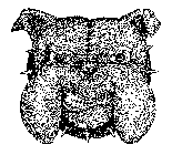 Image Trademark