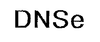 DNSE
