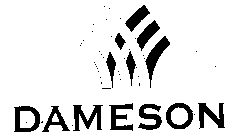 DAMESON