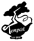 TEMPEST TEA SPOT