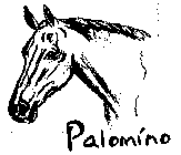 PALOMÍNO