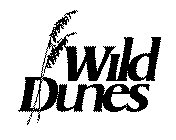 WILD DUNES