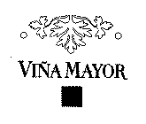 VIÑA MAYOR