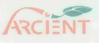 ARCIENT