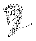 ZYHRI ARTWEAR