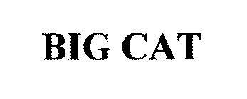 BIG CAT