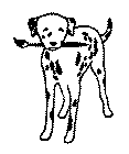 Image Trademark