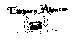 ELKHORN ALPACAS A RARE TREASURE - ONE TO BE SHARED