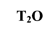 T2O