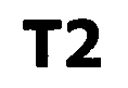 T2