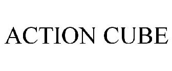 ACTION CUBE