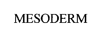 MESODERM