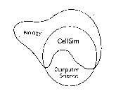 BIOLOGY CELLSIM COMPUTER SCIENCE