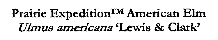 Image Trademark