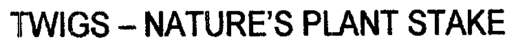 Image Trademark
