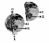 Image Trademark