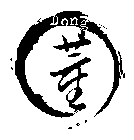 DONG