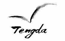 TENGDA