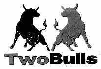 TWOBULLS