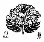 BAI JU