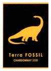 TERRA FOSSIL CHARDONNAY 2008