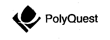 P POLYQUEST