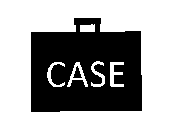 CASE