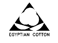 EGYPTIAN COTTON