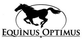 EQUINUS OPTIMUS