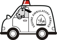 EQUINE AMBULATORY SERVICE