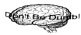 DON'T BE DUMB!