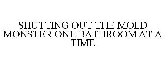 SHUTTING OUT THE MOLD MONSTER ONE BATHROOM AT A TIME