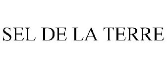 SEL DE LA TERRE