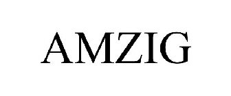 AMZIG