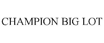 CHAMPION BIG LOT