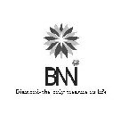 BNN DIAMOND-THE ONLY TREASURE IN LIFE