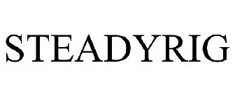 STEADYRIG