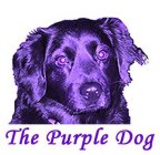 THE PURPLE DOG