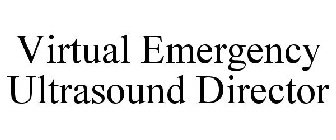 VIRTUAL EMERGENCY ULTRASOUND DIRECTOR