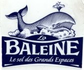 LA BALEINE LE SEL DES GRANDS ESPACES