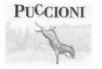 PUCCIONI