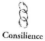 CONSILIENCE