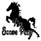 THE SCONE PONY