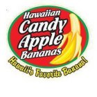 HAWAIIAN CANDY APPLE BANANAS HAWAII'S FAVORITE BANANA!