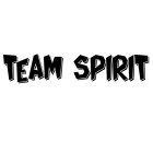 TEAM SPIRIT