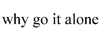 WHY GO IT ALONE